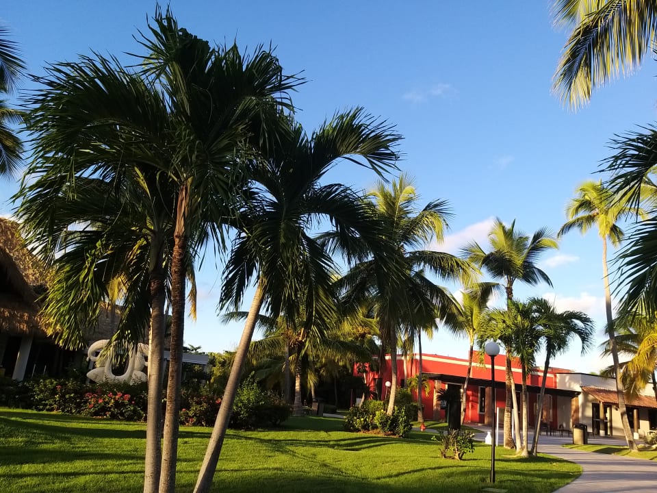 Gartenanlage Punta Cana Princess All Suites Resort & Spa