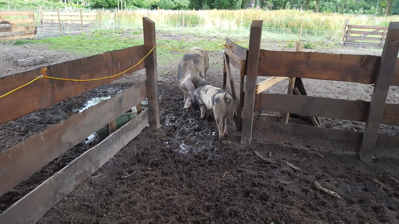 Gartenanlage Romantik Hotel Jagdhaus Eiden am See
