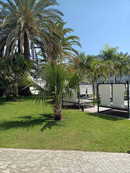 Gartenanlage Hotel Riu Palace Maspalomas Adults Only