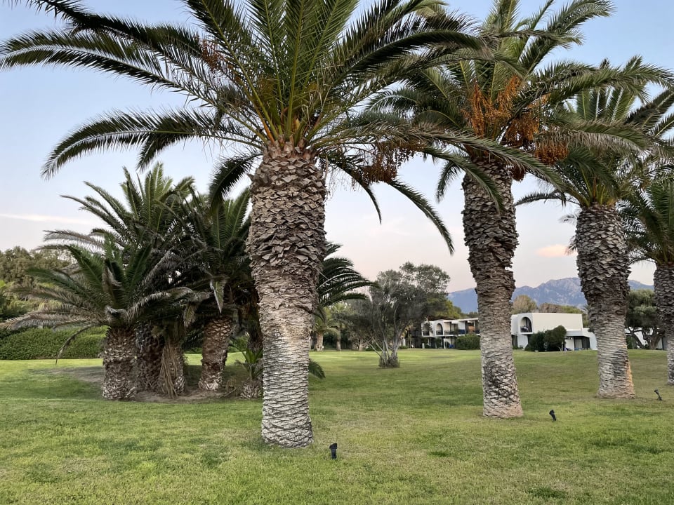 Gartenanlage Caravia Beach Hotel