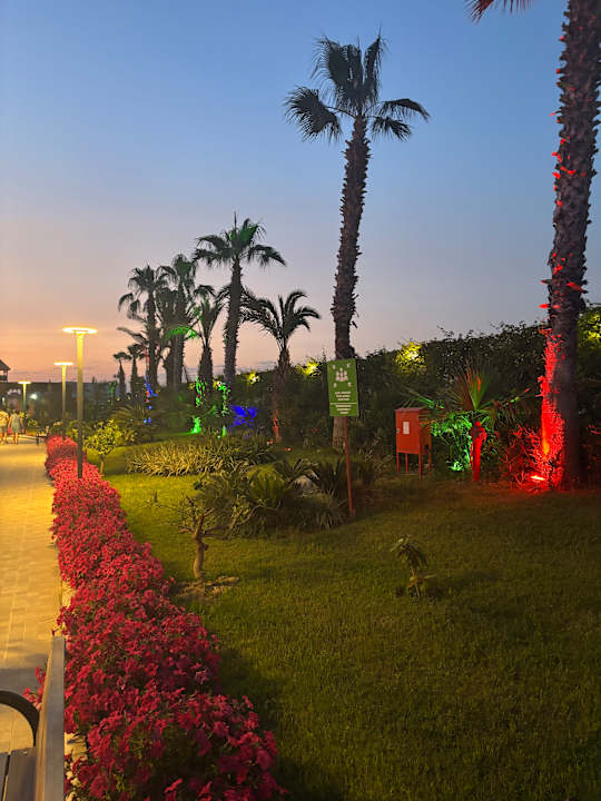 Gartenanlage Dream Fun World