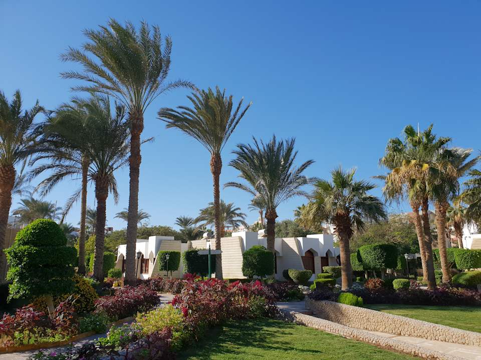 Gartenanlage Regina Resort and Aqua Park Hurghada