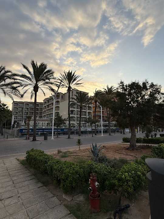 Außenansicht Myseahouse Flamingo - Adults only