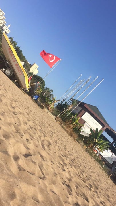 Strand Arum Barut Collection