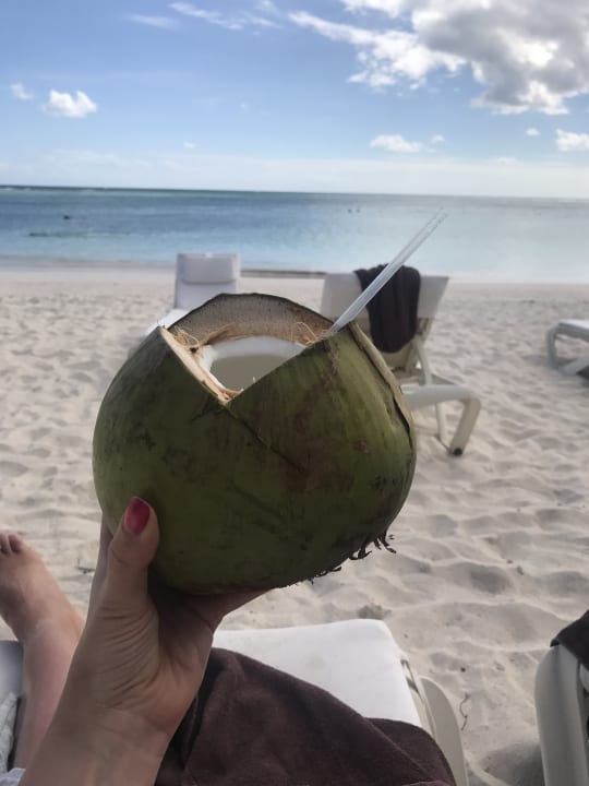 Frische Kokosnuss am Strand  Secrets Akumal Riviera Maya - Adults only