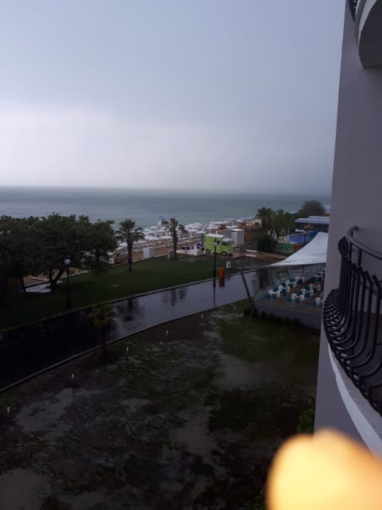 Zimmer Sentido Marea