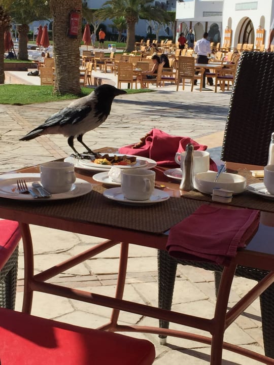 Gastro Hotel Mercure Hurghada