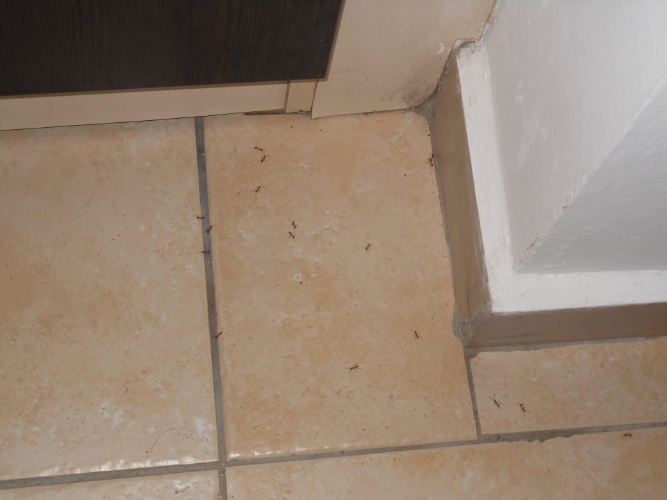 Ameisen Oz Hotels Incekum Beach