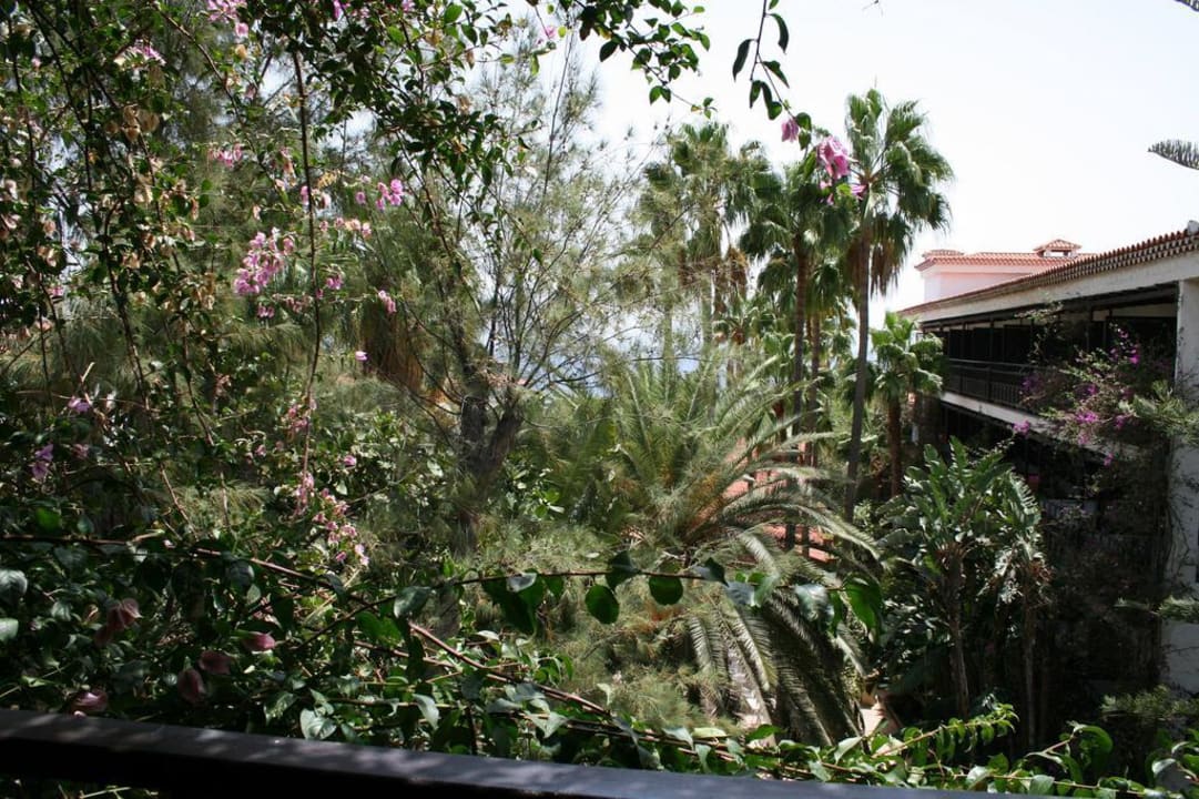 Ausblick vom Balkon (Gartenseite) Hotel Parque Tropical