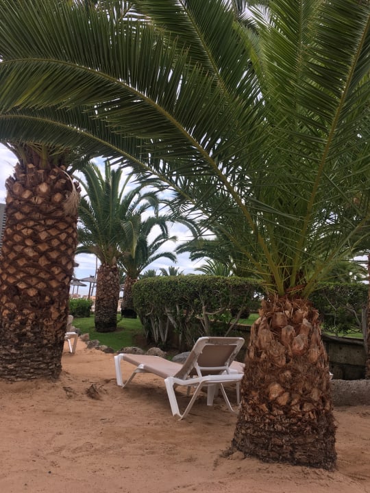 Gartenanlage Hotel Riu Arecas - Adults only