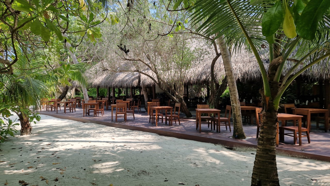 Gastro Summer Island Maldives