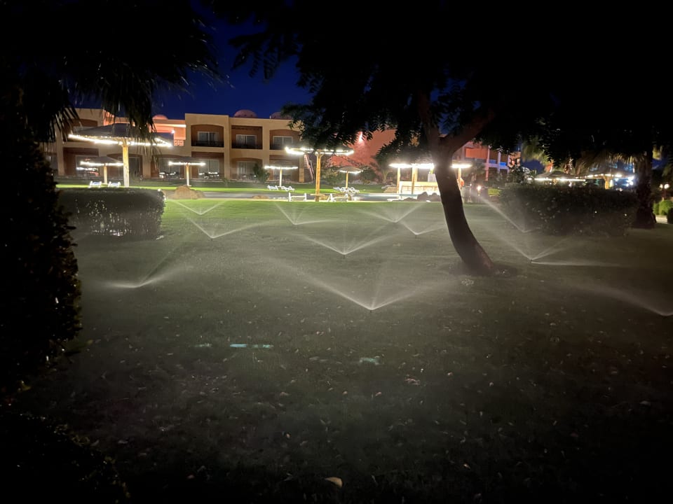 Gartenanlage Wadi Lahmy Azur Resort