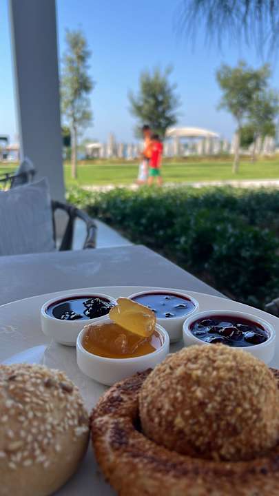 Gastro Anda Barut Collection