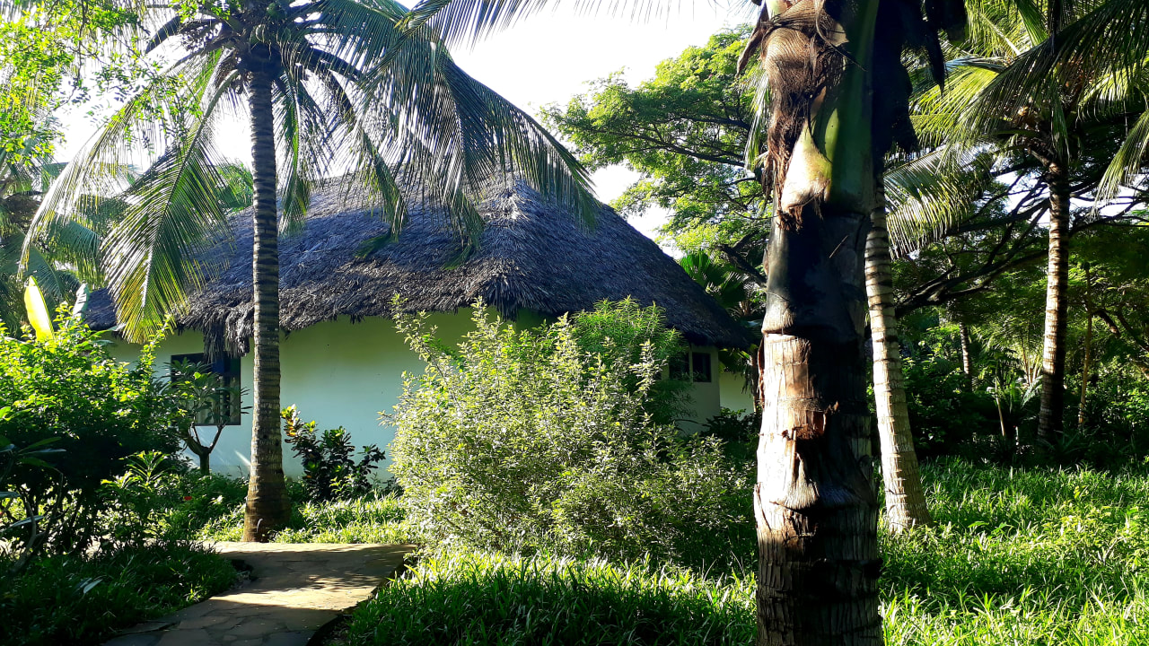 Gartenanlage Spice Island Hotel & Resort