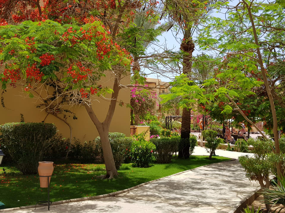 Gartenanlage Steigenberger Coraya Beach - Adults only