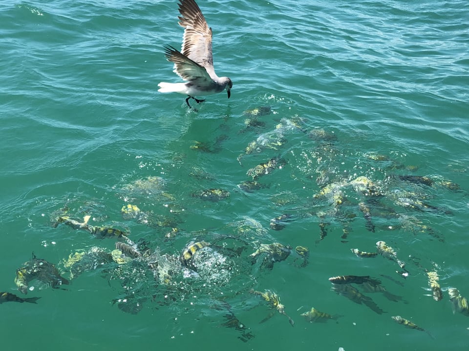 Sonstiges Punta Cana Princess All Suites Resort & Spa