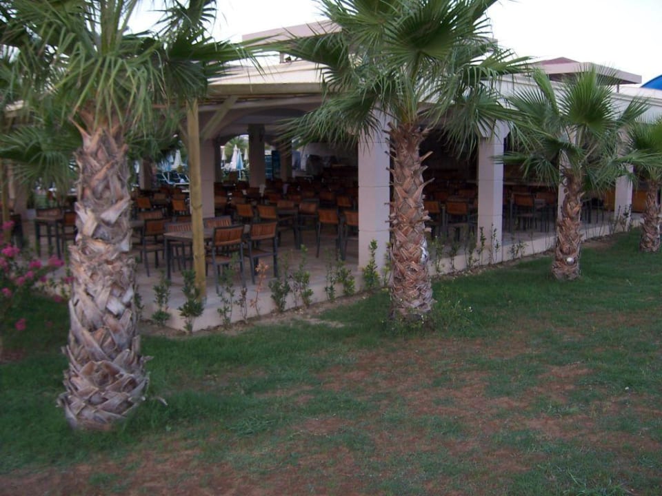 Snackbar von hinten Hane Family Resort