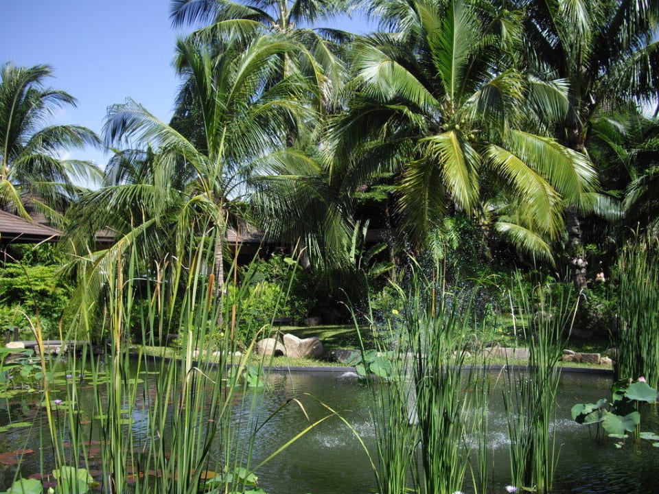 Gartenteich Bo Phut Resort & Spa