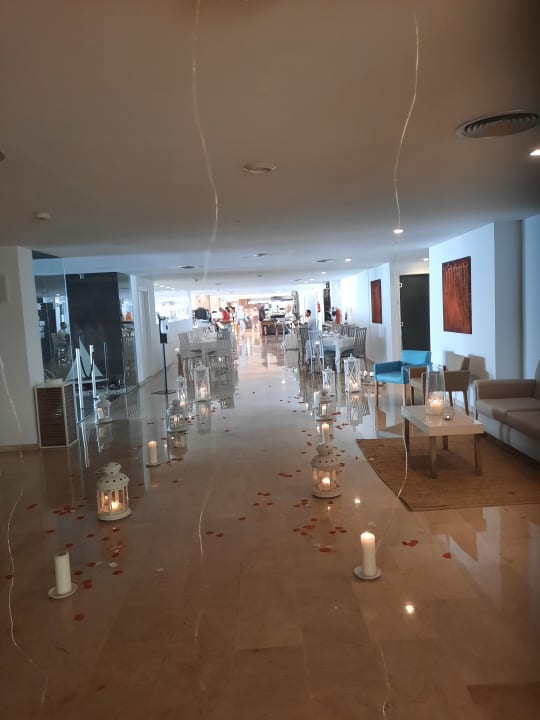 Gastro Sentido Fido Punta del Mar – Adults only