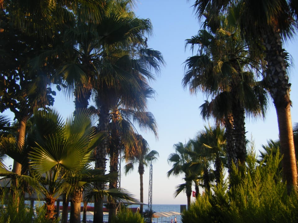 Weg vom Hotel zum Strand2 Miramare Queen Hotel