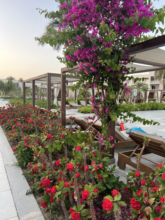 Gartenanlage Steigenberger Resort Ras Soma