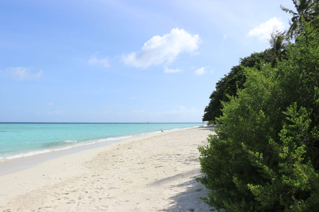Strand Biyadhoo Island Resort