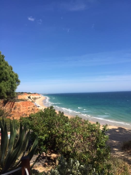 Gartenanlage PortoBay Falésia