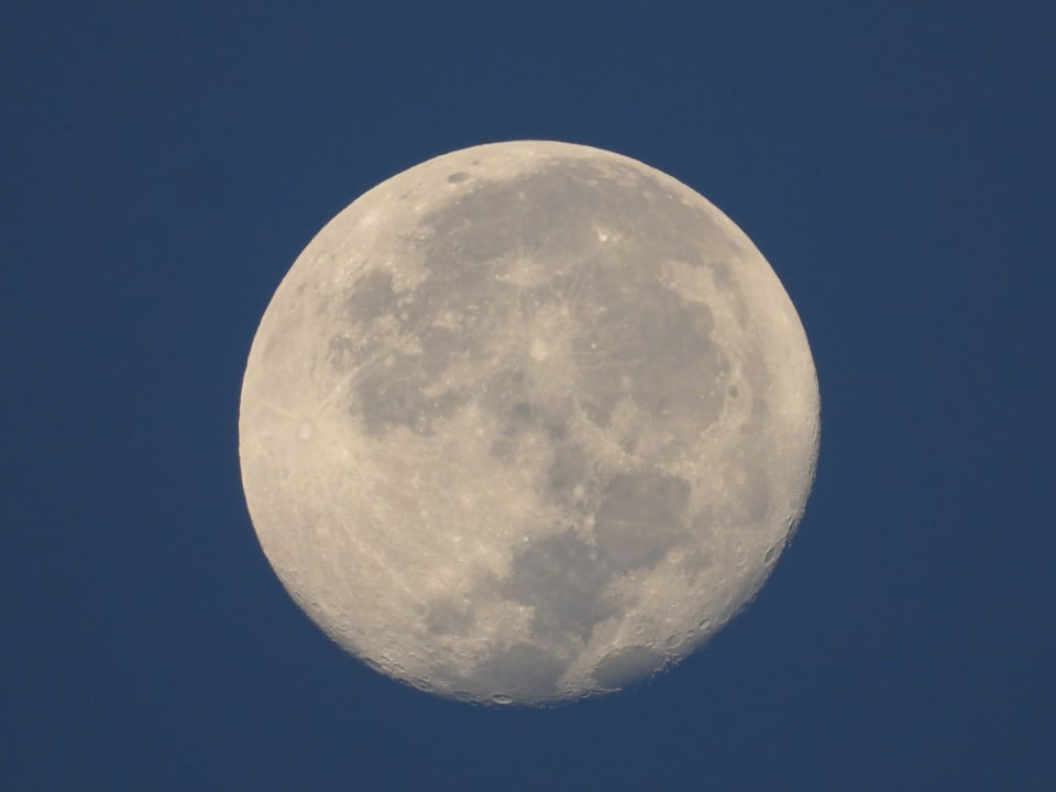 Strand Malikia Resort Abu Dabbab