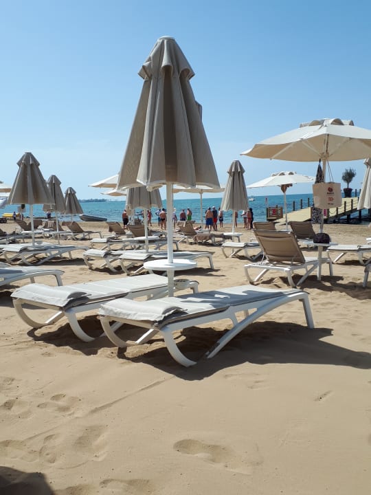 Strand Arum Barut Collection