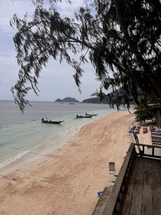 Strand The Fair House Beach Resort