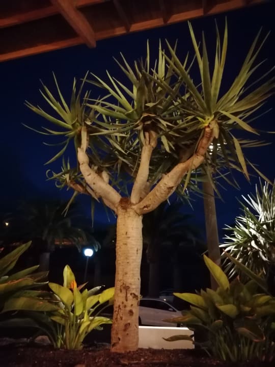 Sonstiges AluaVillage Fuerteventura