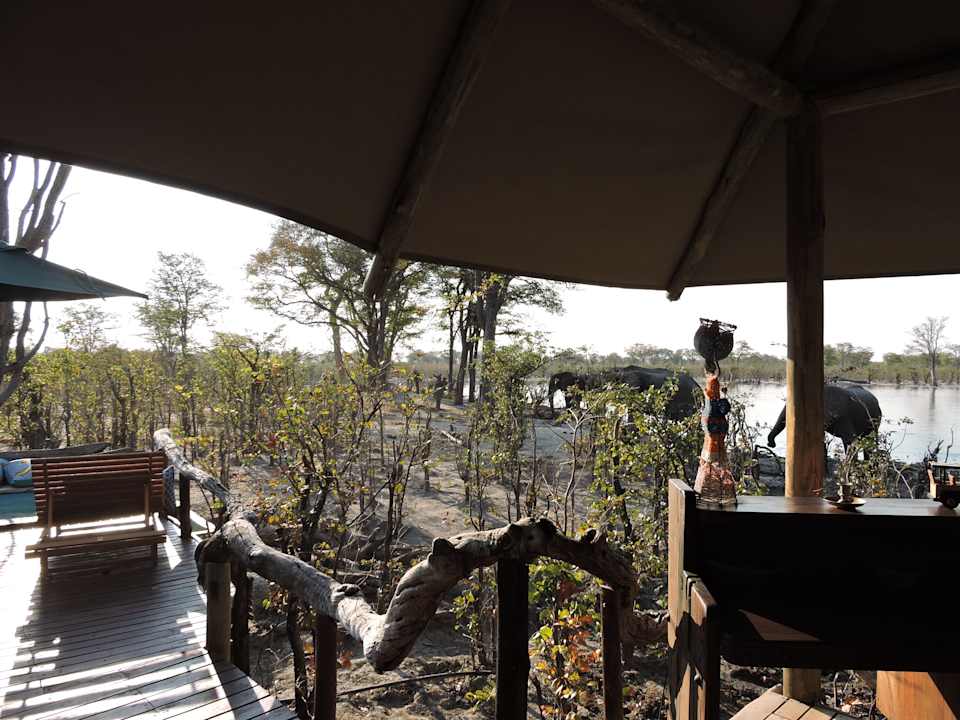 Ausblick Hyena Pan Tented Camp