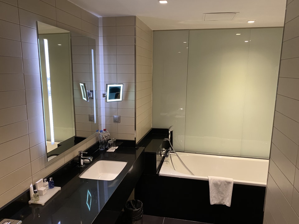 Zimmer Radisson Blu Hotel Moscow Sheremetyevo Airport