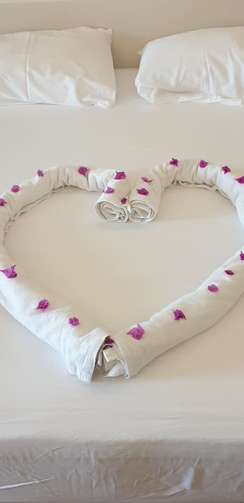 Zimmer Haydarpasha Palace