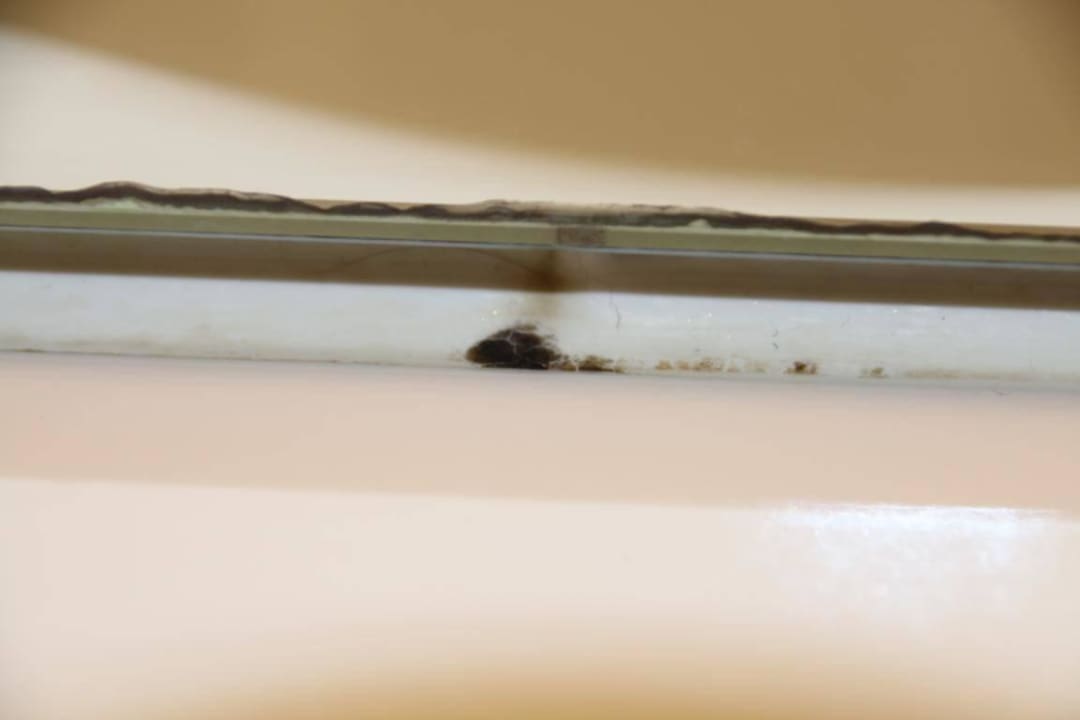 #515 - leider mehr als schmuddelig. Park Plaza Berlin