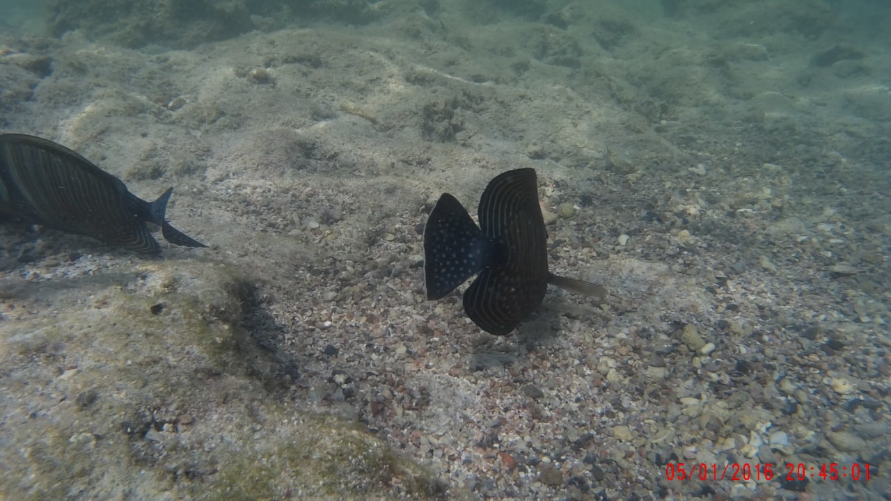 Strand Three Corners Sea Beach Resort