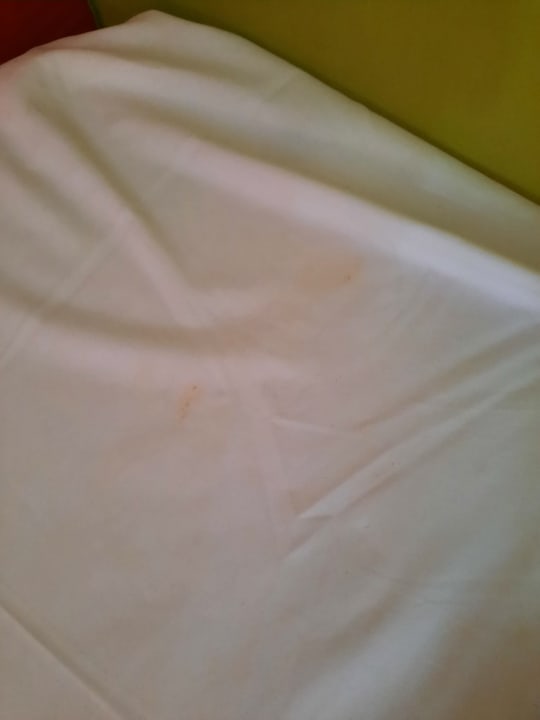 Zimmer allsun App.-Hotel Orient Beach