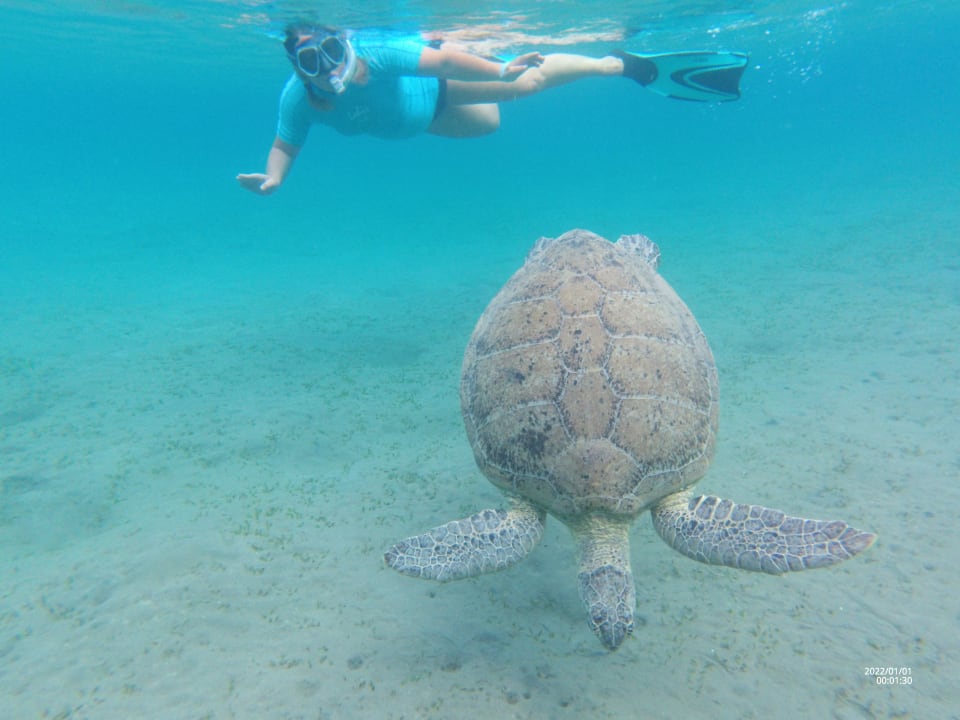 Sonstiges Shams Alam Beach Resort