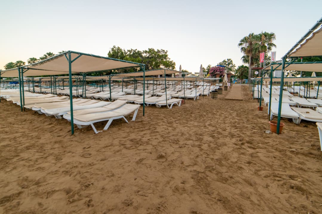 Strand Armas Green Fuğla