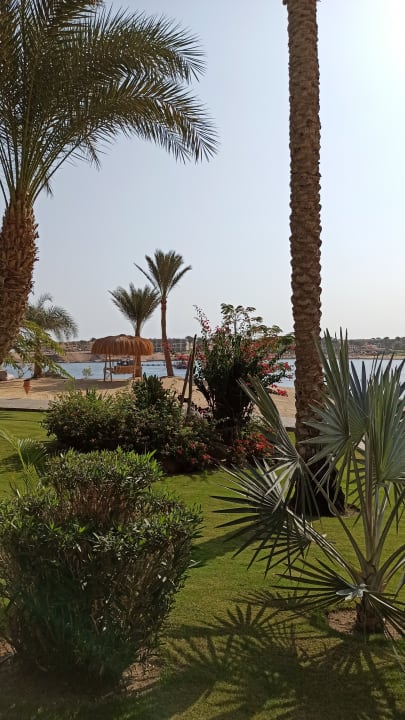 Gartenanlage Steigenberger Coraya Beach - Adults only