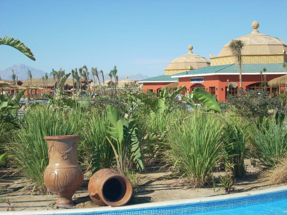 Einfach schön Pickalbatros Jungle Aqua Park Resort - Neverland Hurghada