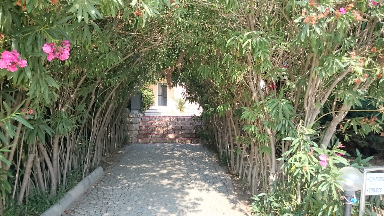 Gartenanlage Teos Village