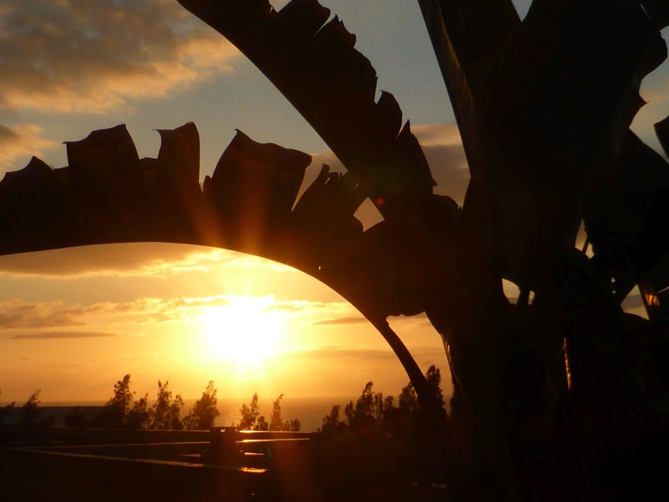 Morgendlicher Blick aufs Meer SBH Club Paraiso Playa