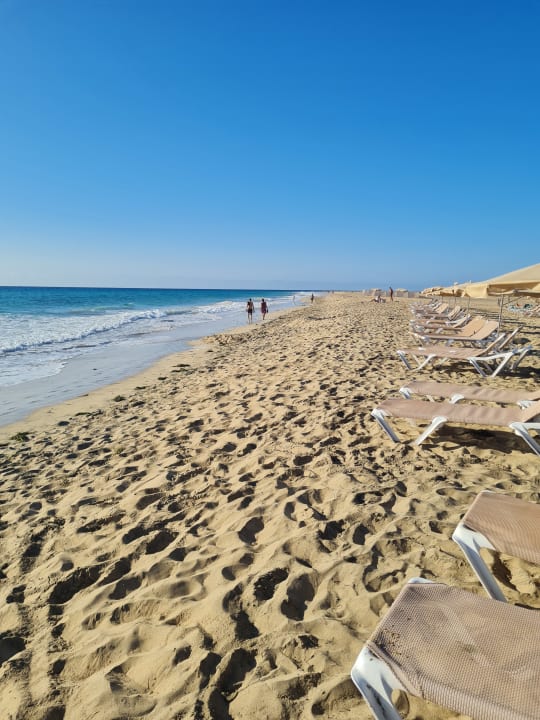Strand Iberostar Selection Fuerteventura Palace