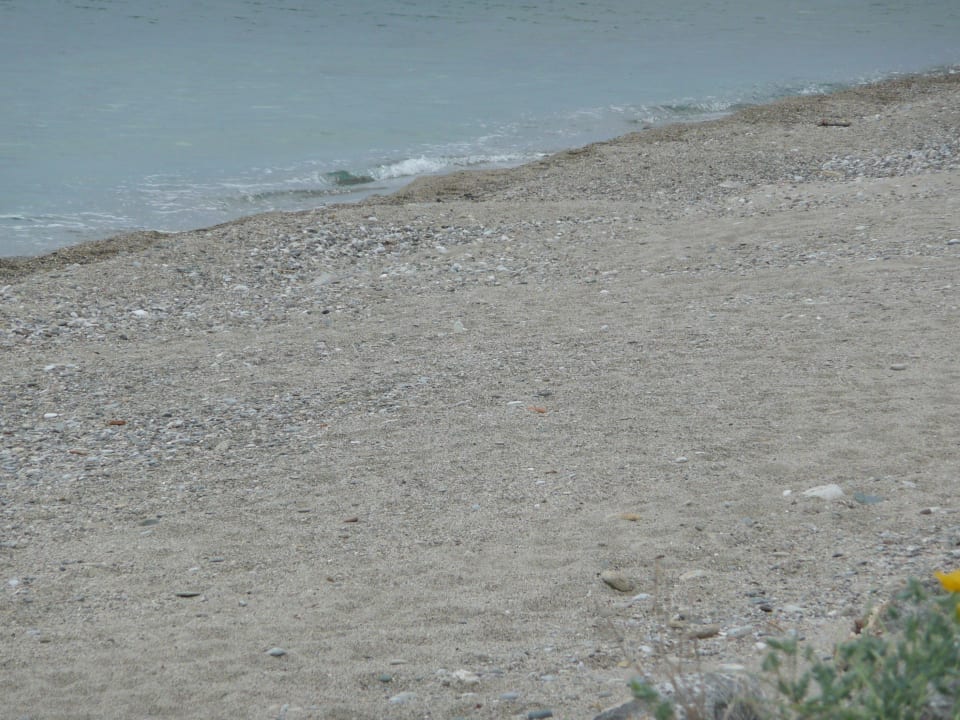 Nah am Hotelstrand Akti Palace Resort & Spa