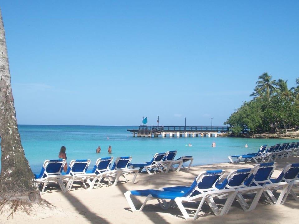 Super schön Dreams La Romana Resort & Spa