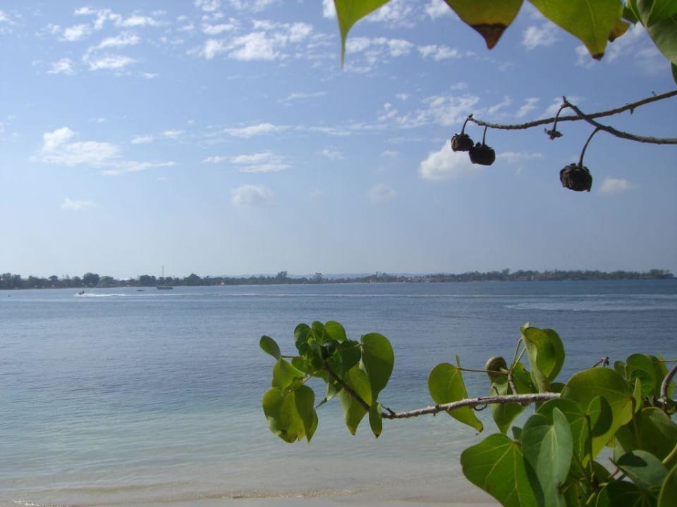 Strand Hotel Riu Negril