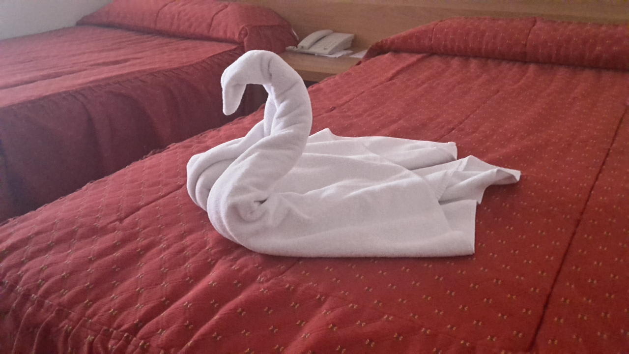 Handtuchfiguren AluaSun Lago Rojo - Adults Recomended