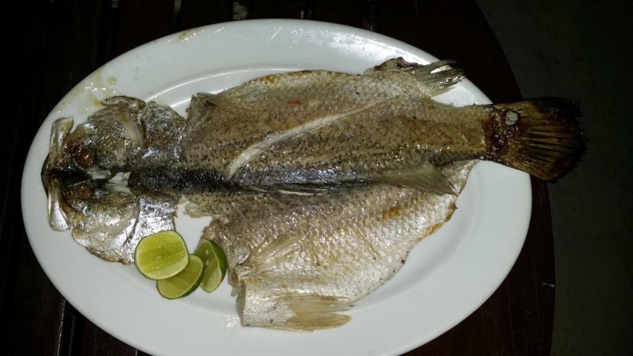 Abendessen Hotel Coral View Island Resort