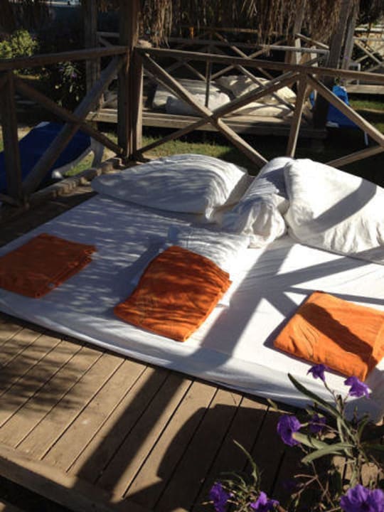 Шатер Starlight Resort Hotel